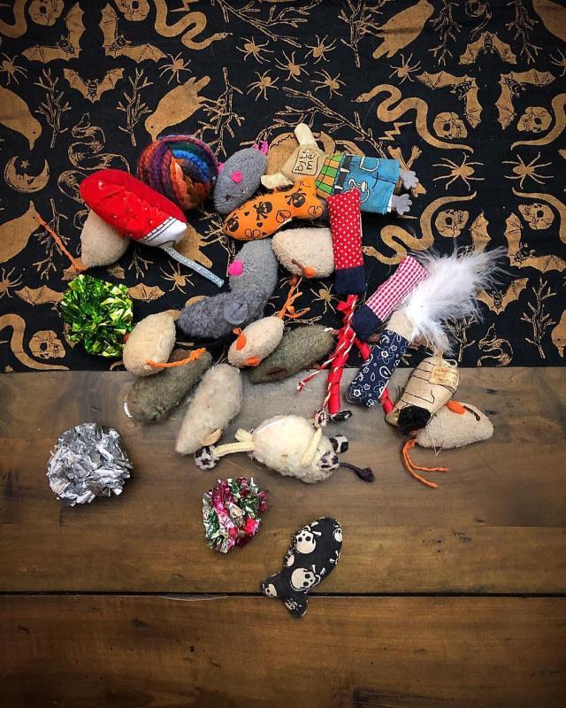 想买国产SUV却怕踩坑?奇瑞威麟如何用省3万油费 30天提车打破行业潜规则 想买国产SUV却怕踩坑?奇瑞威麟如何用省3万油费 30天提车打破行业潜规则