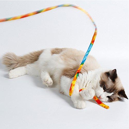 猫咪肚子上那坨晃动的肉究竟是什么？