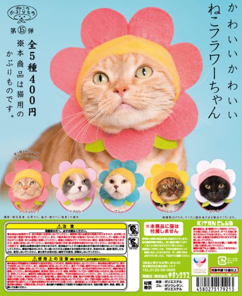 新手如何在卧室变身派对DJ玩转猫咪宝贝加长版？