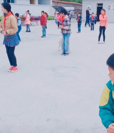 你家猫主子在朋友圈没人点赞？