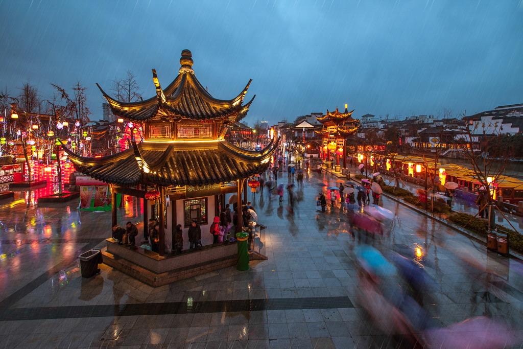 猫咪身上发现虱子?新手该怎么处理才靠谱? 猫咪身上发现虱子?新手该怎么处理才靠谱?