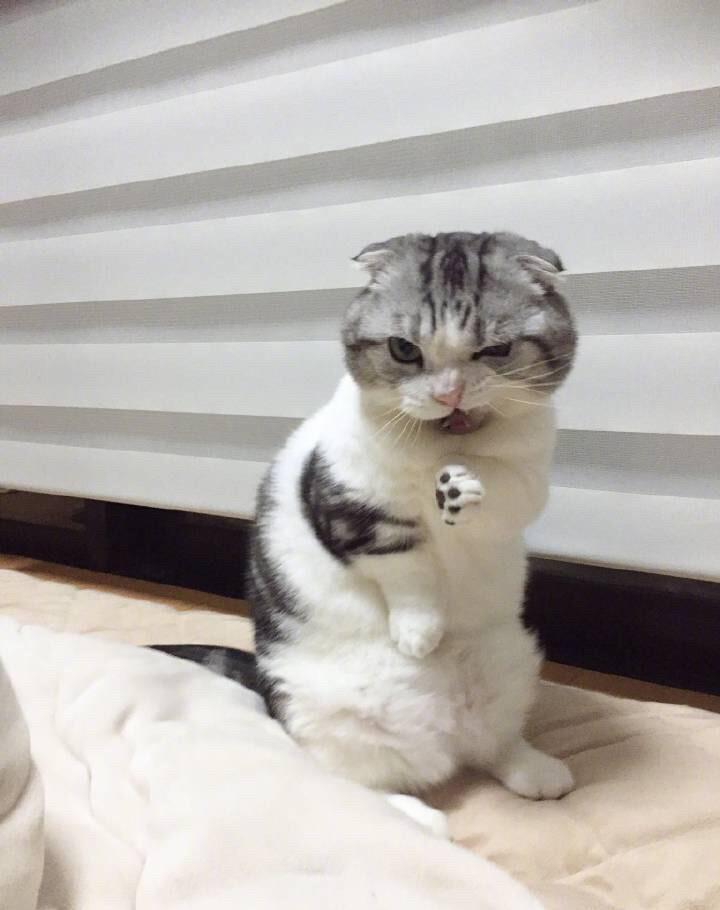 梦见见到名人是吉是凶?2025双子座转运指南 梦见见到名人是吉是凶?2025双子座转运指南