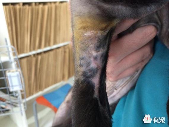 帝豪EC7 RV论坛到底怎么玩？新手如何快速摸清门道？