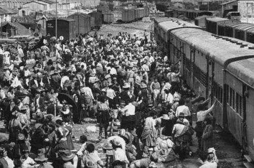 【印度华人数量锐减原因】：半个世纪从6万到6千的惊人变迁