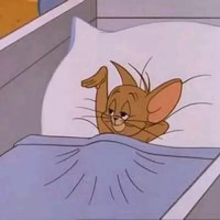 为什么别人家的猫能拍出神仙情头? 为什么别人家的猫能拍出神仙情头?