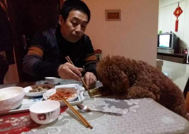 养了半年的猫还是不让抱怎么办？