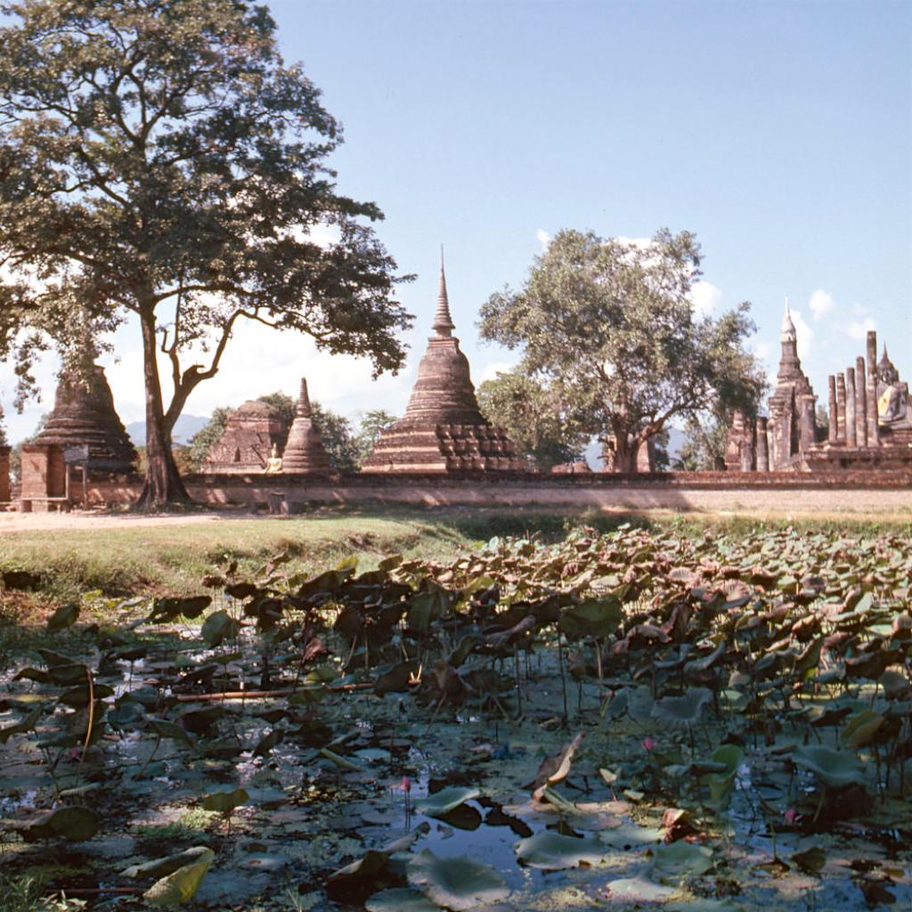 弹猫咪进行曲需要先学五线谱吗？