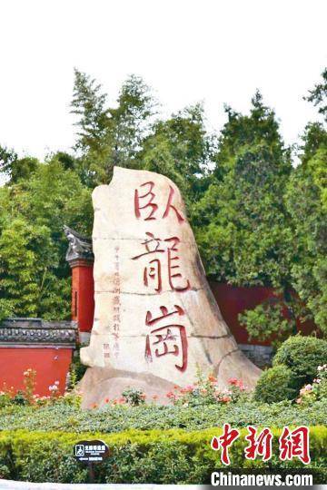 刚来卧龙岗生活像无头苍蝇？这个华人论坛怎么用才不踩坑？