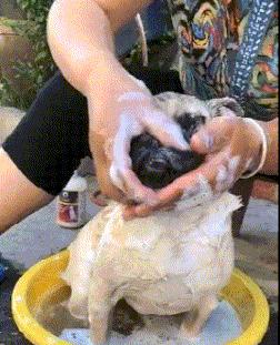 你眼角那颗痣藏着什么秘密? 你眼角那颗痣藏着什么秘密?