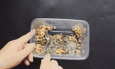 你的舞团名字真的能让人过目不忘吗？