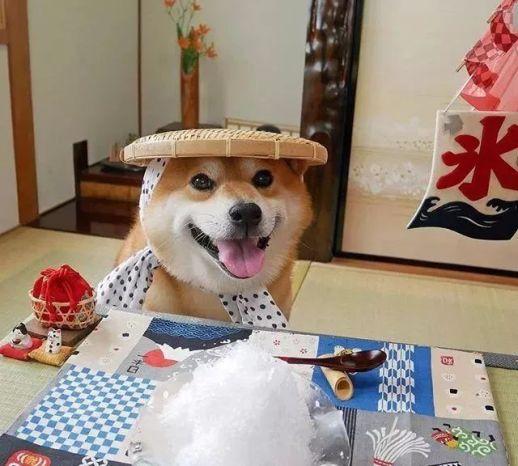 阳光星球新手开局怎么玩才能少交学费？