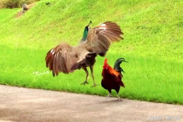 日产乱码区别免费必看,字符编码陷阱如何破解,三分钟掌握文件修复技巧 日产乱码区别免费必看,字符编码陷阱如何破解,三分钟掌握文件修复技巧