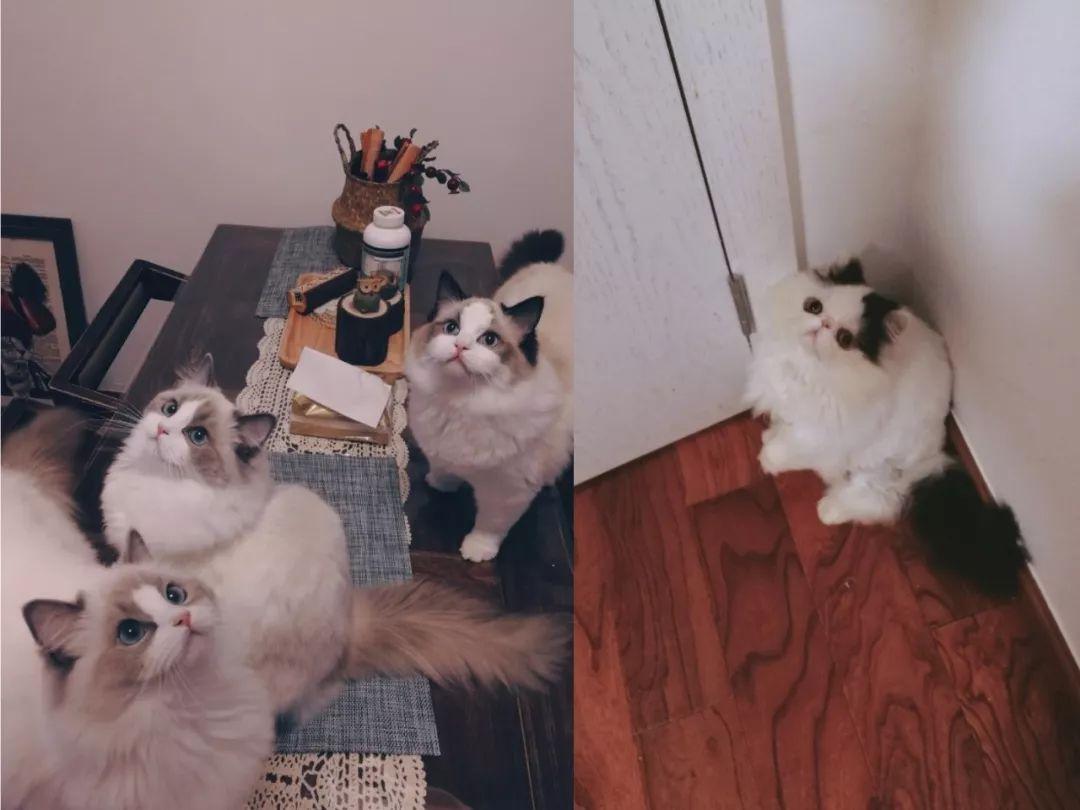 无货源电商能躺赚差价？五大风险需注意