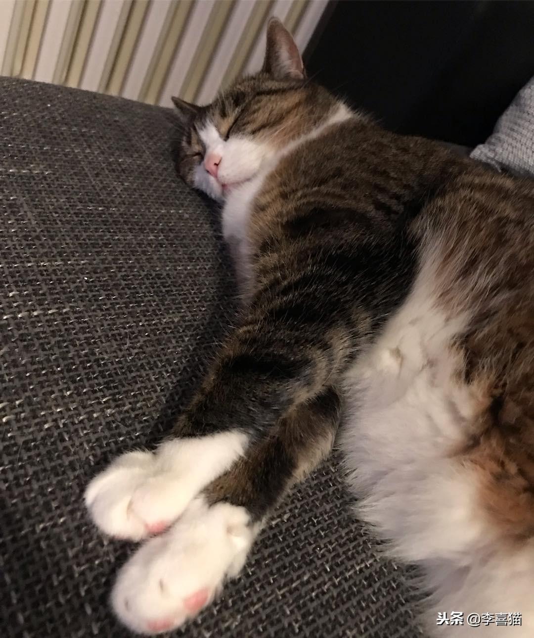 Teknisi mesin slot: Peran penting dalam dunia perjudian mesin slot