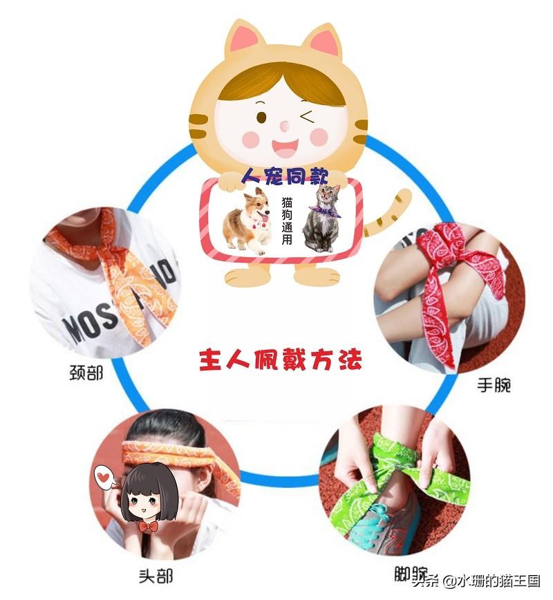 猫咪热到吐舌头真的会中暑吗？