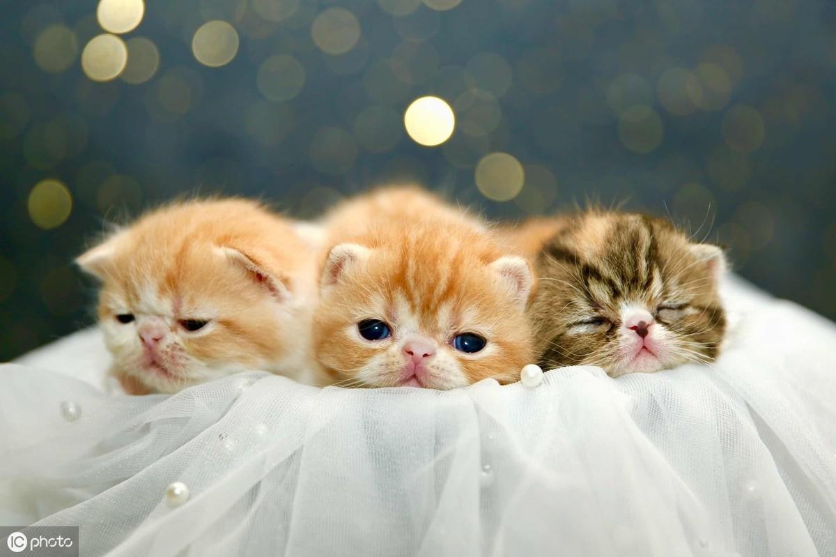 周公解梦：女人梦见抱女婴小便的5种预兆（2025星座运势解析）