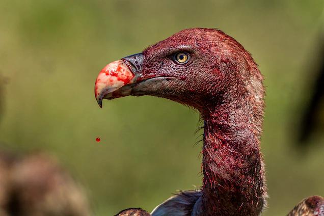 威霆改装到底要花多少钱? 威霆改装到底要花多少钱?