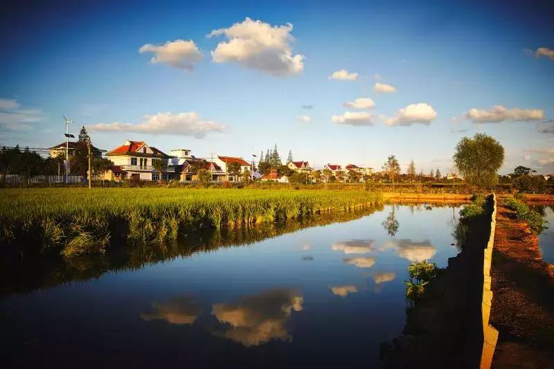 新华社海外华人论坛到底怎么玩？