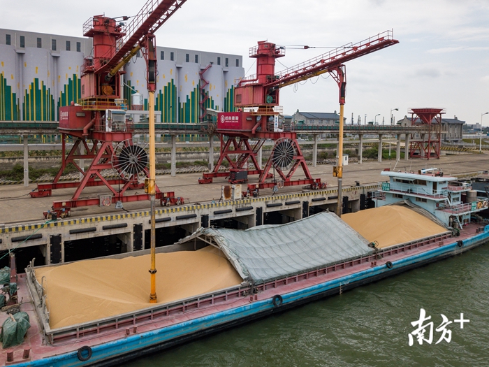 广货如何从“珠江水广东粮”变身全球抢购的智能科技？