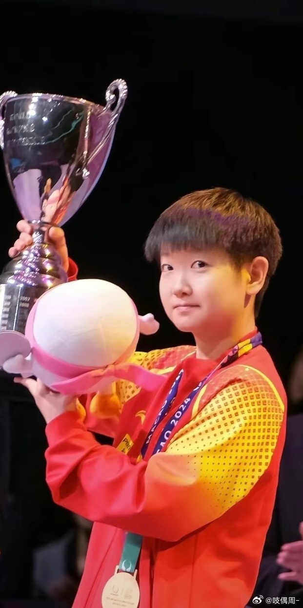 孙颖莎获得哪些大赛冠军之世界杯冠军的含金量探讨