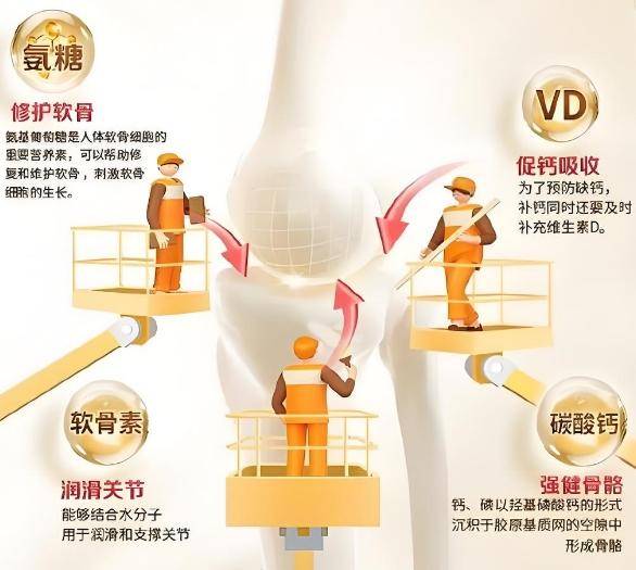 【2021欧洲杯靠谱投注平台推荐】，真实测评，避坑指南全包含