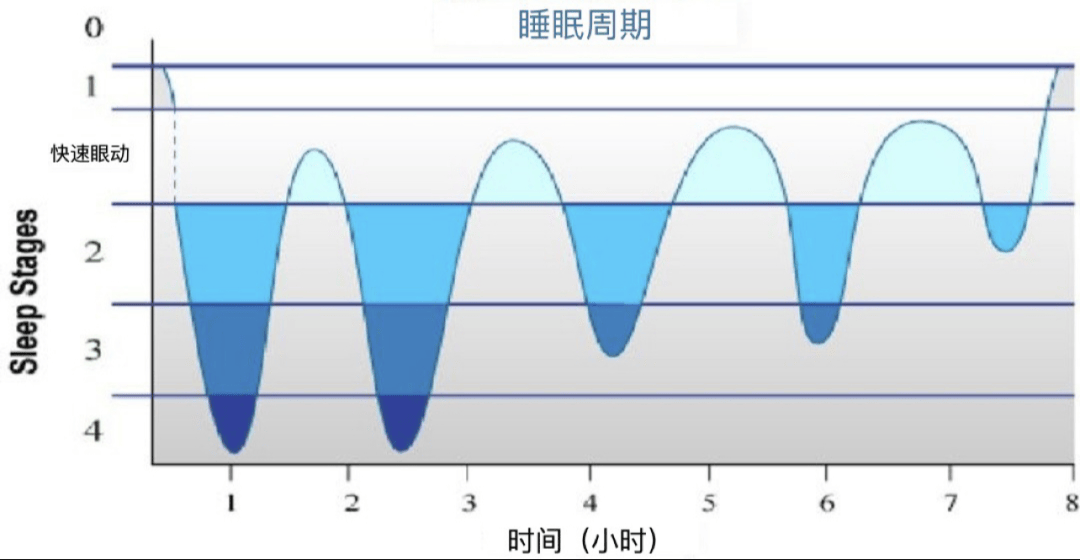 梦中梦是怎么意思?睡眠麻痹与快速眼动期的科学解析 梦中梦是怎么意思?睡眠麻痹与快速眼动期的科学解析