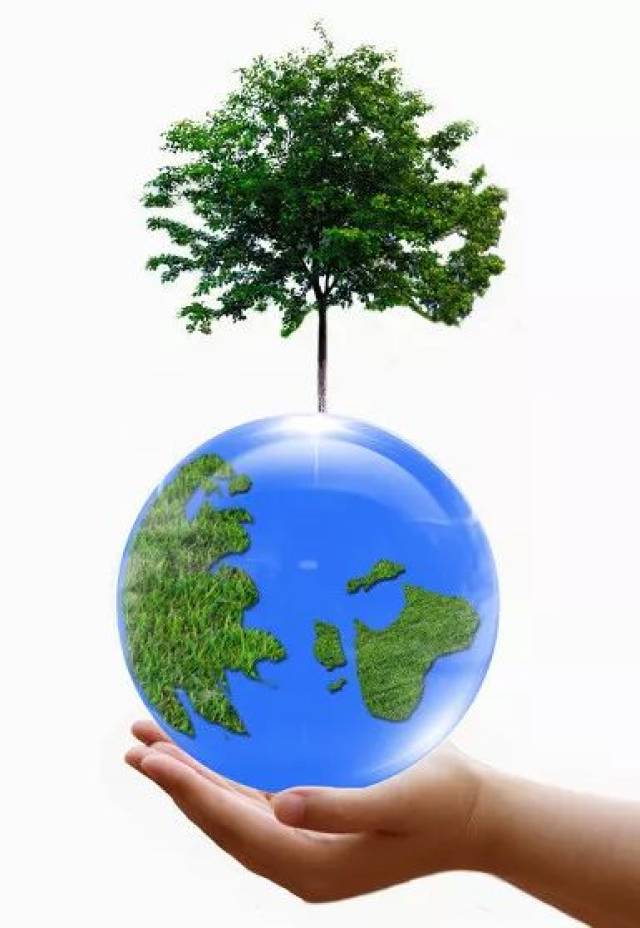 自然之力究竟如何影响我们的生活与未来？