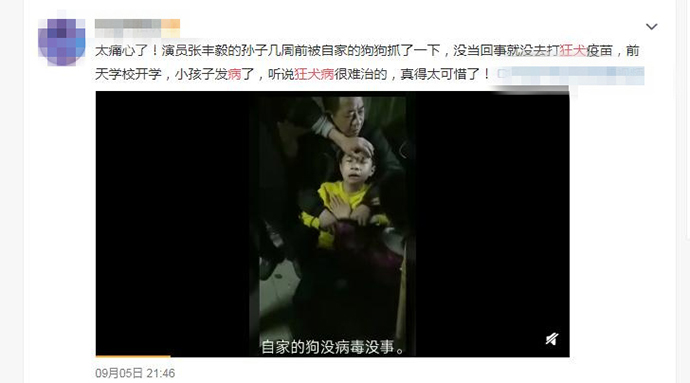 网传张丰毅孙子被狗咬伤得了狂犬病