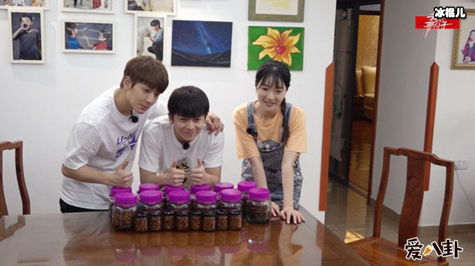 武艺我家那小子综艺照