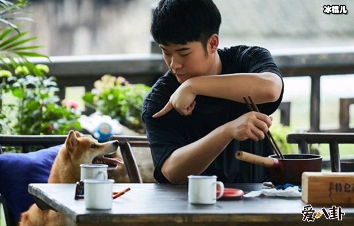 陈赫综艺节目照