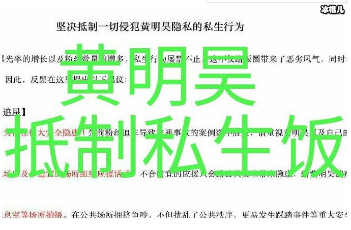 私生饭是什么意思