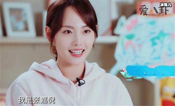 张嘉倪老公是做什么的