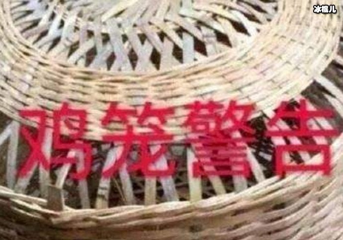 把你塞进鸡笼照片