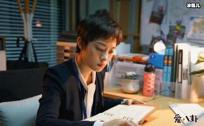 房似锦扮演者孙俪