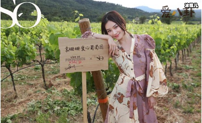 袁姗姗为什么会被黑