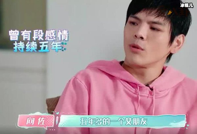 向佐自曝七段情史