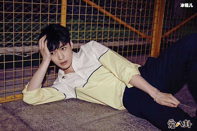 张艺兴粉丝被打