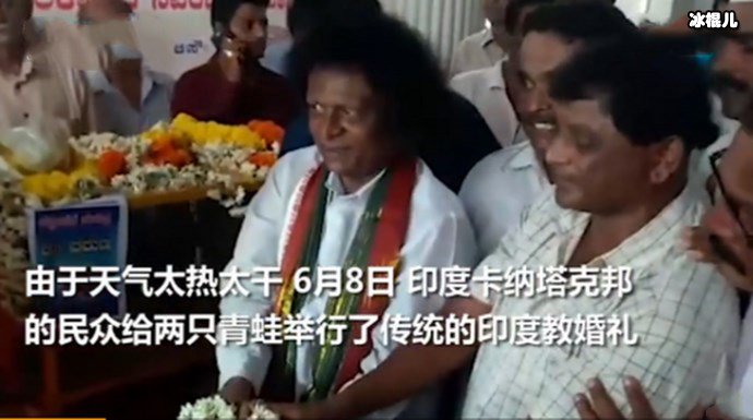 为求雨给两只青蛙办婚礼