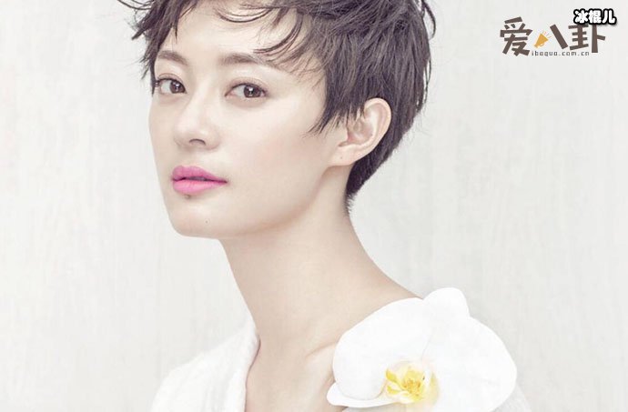 孙俪被包七年是真的吗