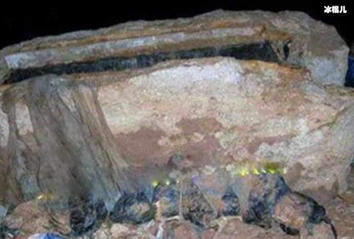 重庆僵尸事件始末