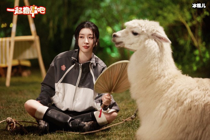 赵小棠一起撸串吧剧照