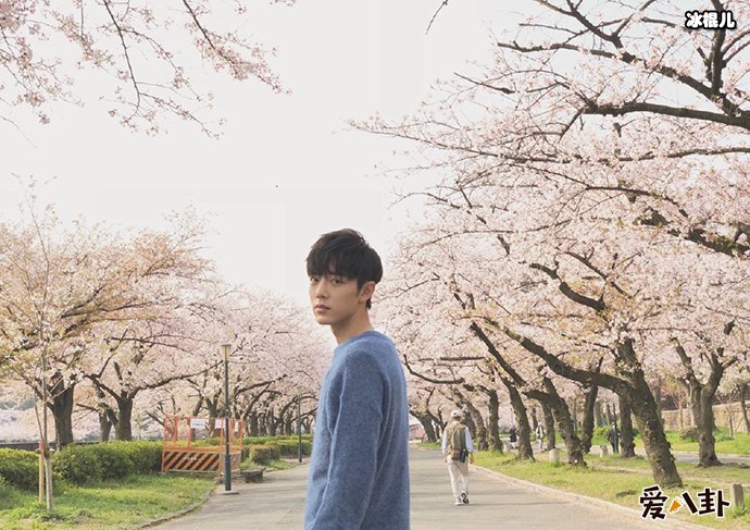 肖战喜欢什么类型的女生