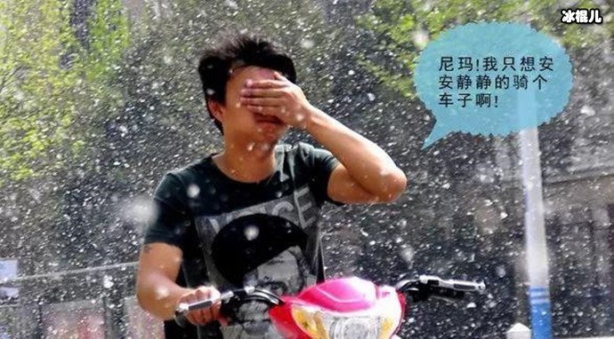 柳絮很烦人