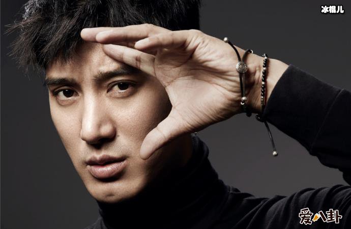 蒲巴甲个人资料