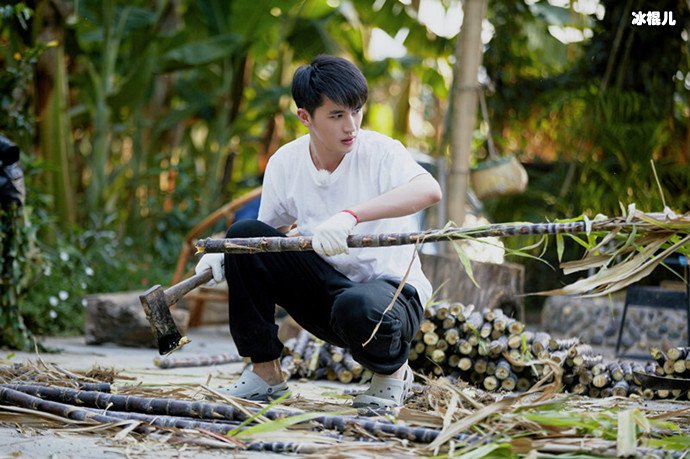 许魏洲向往的生活剧照