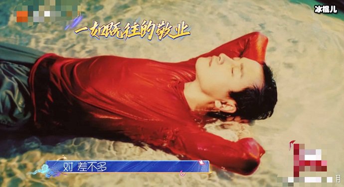 张国荣拍摄的照片