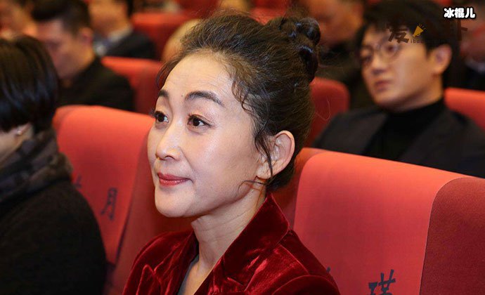 陈瑾不婚的原因