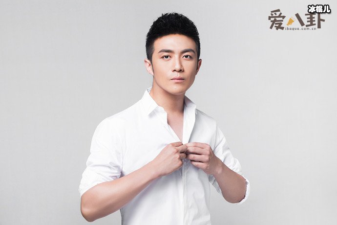 李泽锋演过什么