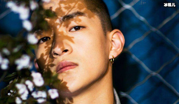 吴磊顶替屈楚萧