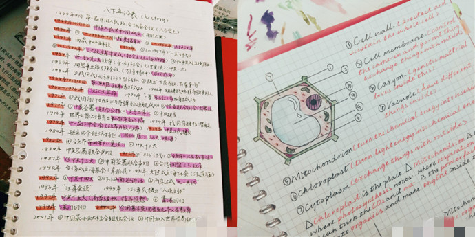 广西美女学霸笔记屠臣夫人走红